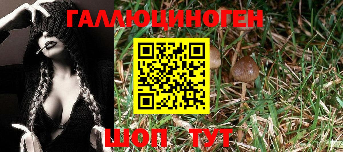 Гашиш  Альфа ПВП СК кристаллы  Мефедрон   Вход с VPN  МАРИХУАНА  Лсд 25  Чистополь  Cocaine 