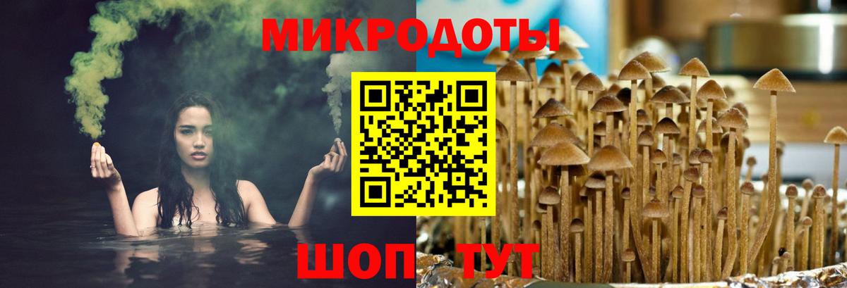Галлюциногенные грибы ЛСД  Псилоцибиновые грибы прущие грибы  Вход с VPN  Чистополь 